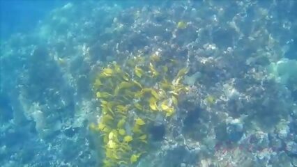 Миленькая девушка трахается с парнем на пляже в отпуске