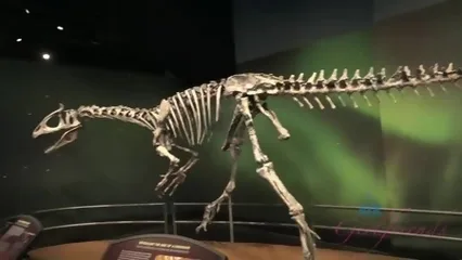 Пожилой любовник накончал в нежную киску легкодоступной девахи